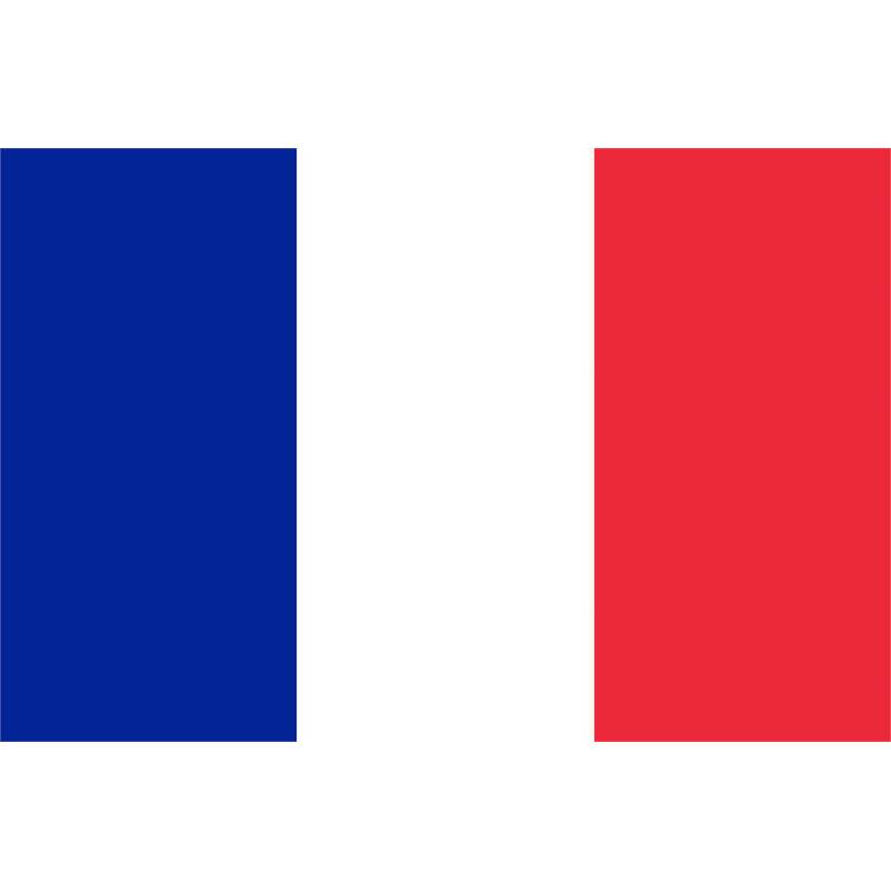 France Courtesy Flag 30 x 45cm-1